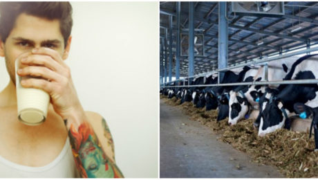 Mliečna alternatíva, ktorá