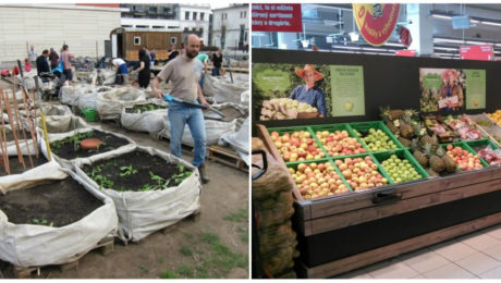 Trendy v stravovaní