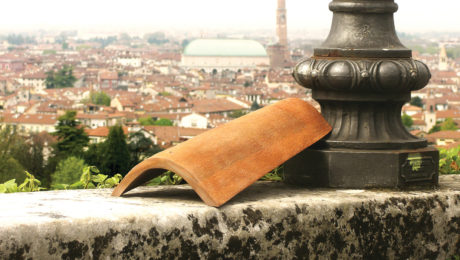 Obyčajná škridla, drevo