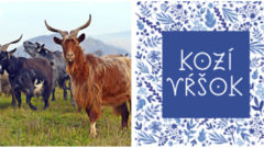 Kozí Vŕšok –