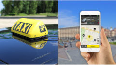 Slovenský HOPIN medziročne