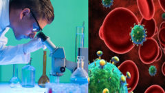 Britskí lekári zrejme