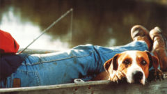 Nebojuj s prokrastináciou