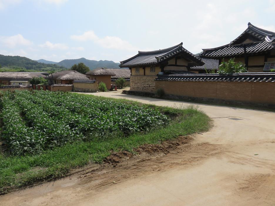 Hahoe – domy so slamenými strechami aj s keramickou krytinou