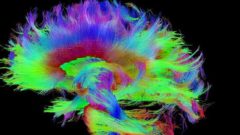 Harvardskí vedci sa