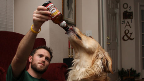 Pivo pre štvornohých