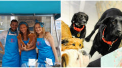 Táto unikátna bratislavská