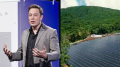 Tesla zásobuje celý