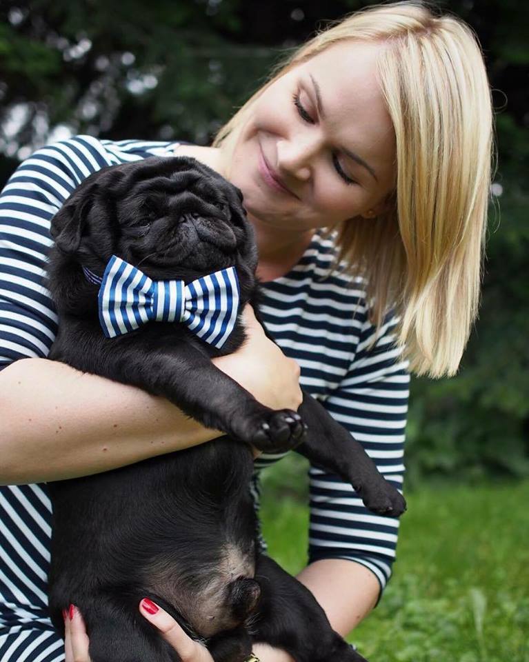 14570401_1760106897574885_2273007070077809024_n