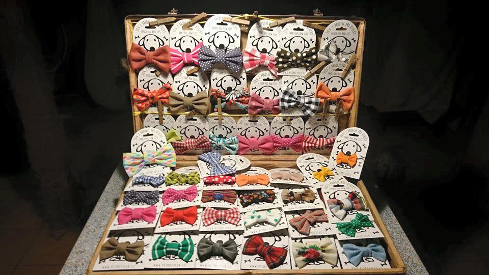 14702440_1762628750656033_7326079041279830822_n