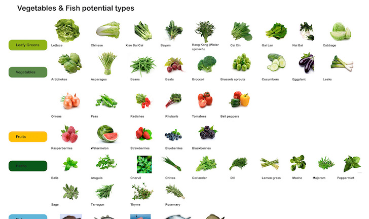 smart-floating-farms-by-forward-thinking-architecture-1