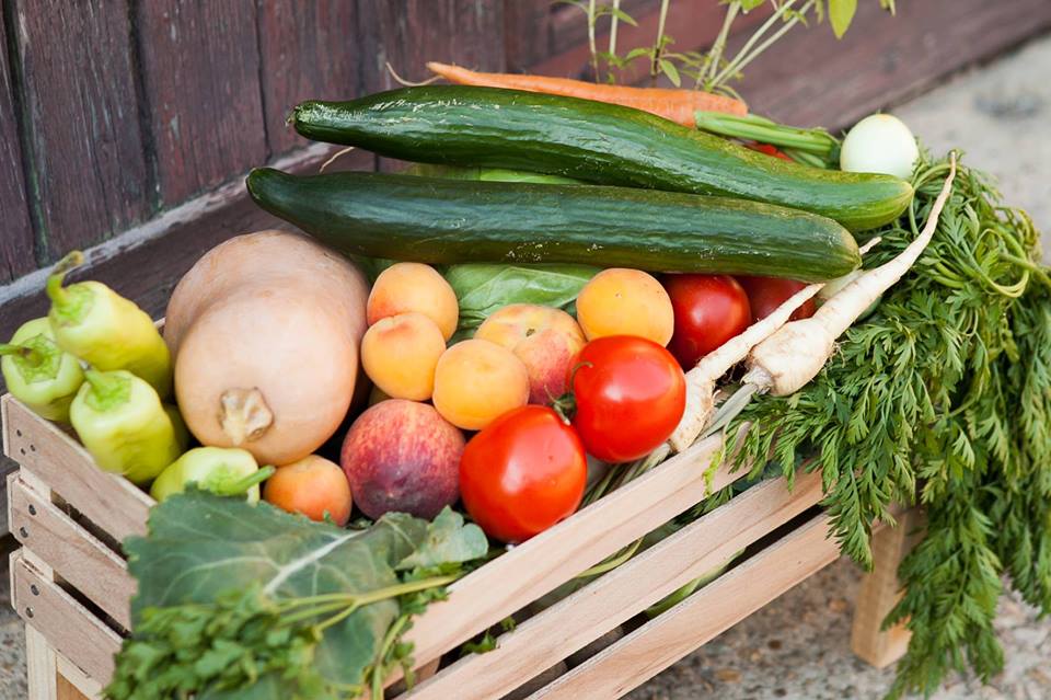 1012395_587064198011531_702622960_n