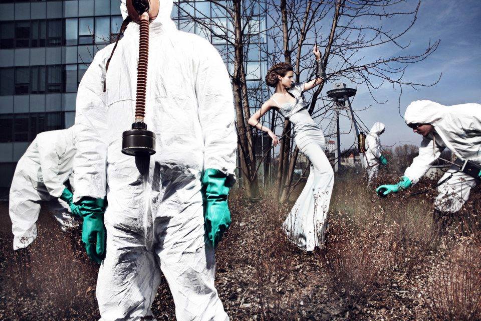 1175403_10202232406508483_392069479_n