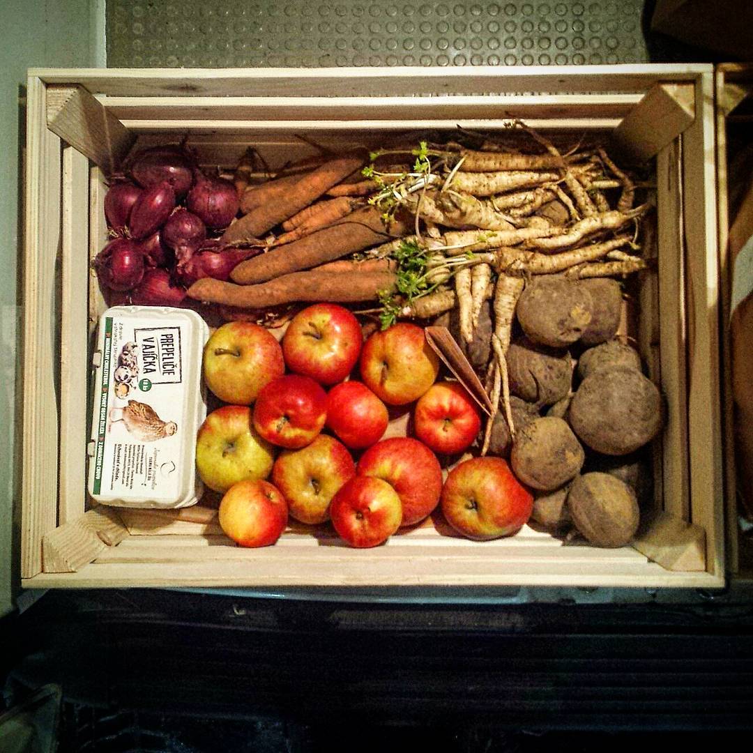 12628520_1125106934190423_7758135218352029516_o