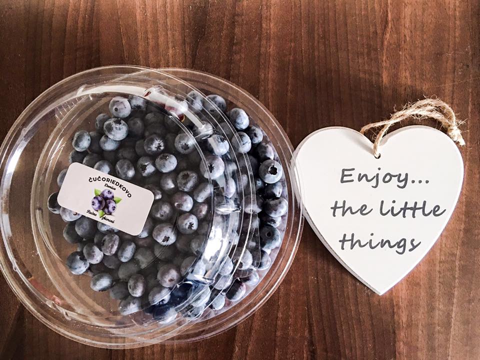 13876135_980764485379669_8304091566499373377_n