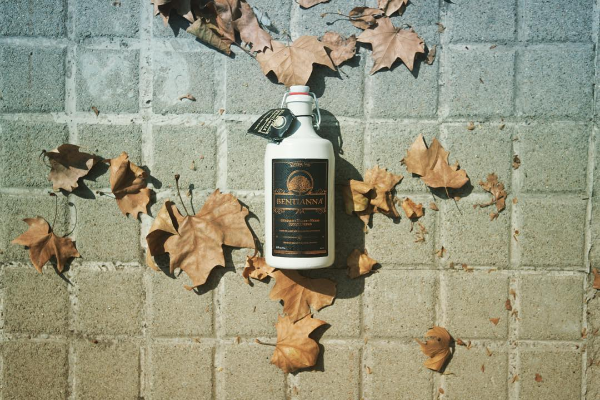 14611007_593177330889315_6066724821310152190_n