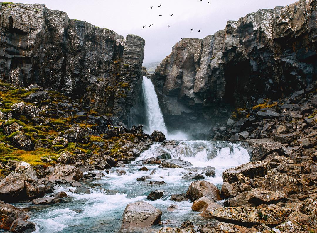 14718223_400711560260515_373173417538486272_n