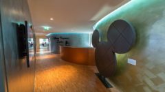 Výskumníci z Disney