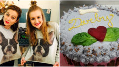 Psia narodeninová oslava?