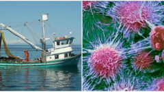 Geniálny nápad z garáže