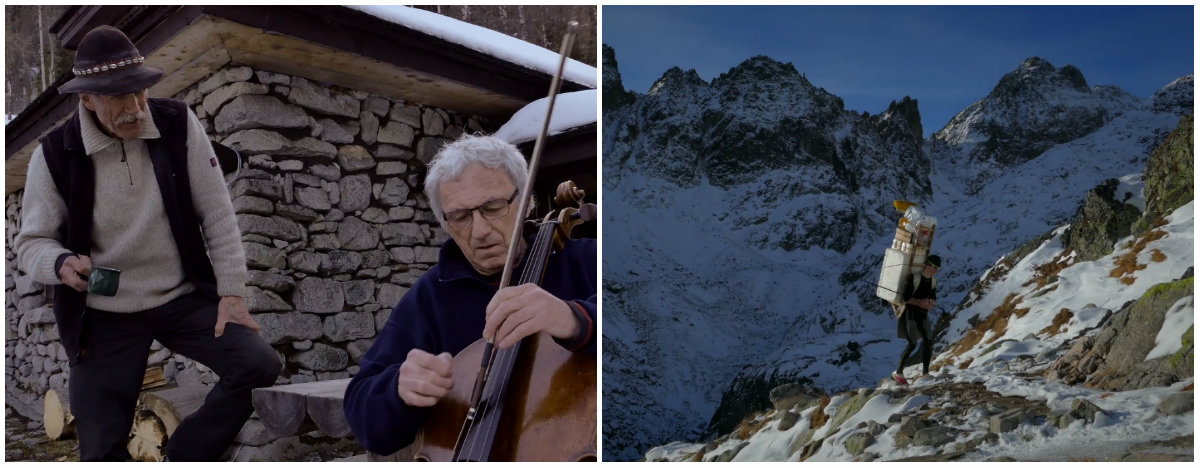 nosic