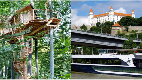 V Bratislave vyrástol