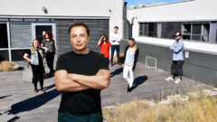 MIMORIADNE: Elon Musk