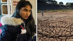 16-ročné dievča vymyslelo