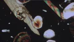 Tretí termodynamický zákon