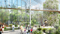 V Šanghaji vyrastie