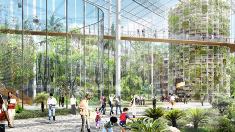 V Šanghaji vyrastie