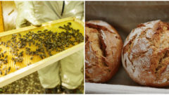 Farmička – Slovenská