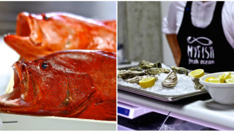 Títo chalani založili