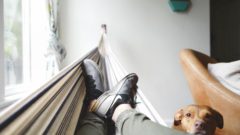 Ročne zabijeme prokrastináciou