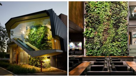 10 vertikálnych záhrad,