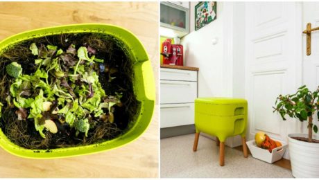 Dážďovková farma v