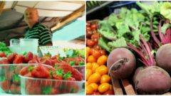 Otestovali sme bratislavské