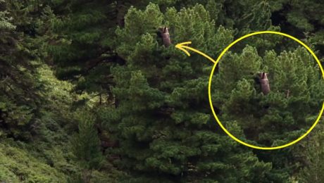 Slovákom sa podarilo