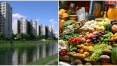 V Petržalke vyrastie