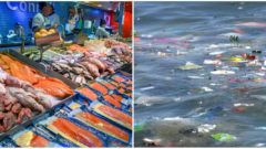 Najväčšie spoločnosti na