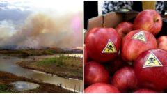 Bratislava je zamorená