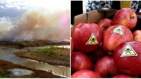 Bratislava je zamorená