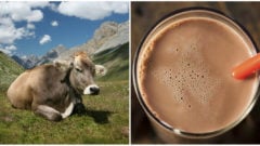 Milióny Američanov si