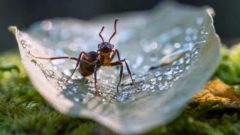 Odfoťte si prírodu