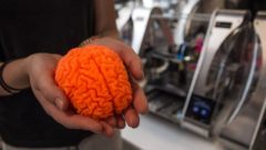 Najnovším trendom vo