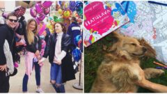 Kreatívne Slovenky vedia,