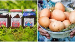 Títo Slováci chcú