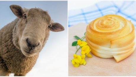 Slovenská parenica: Je