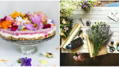 Jedlé kvety: Pestrofarebný