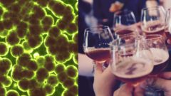 Vedci vyvinuli prvé